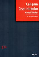 Çalışma Ceza Hukuku Genel İlkeler