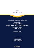 Avrupa Haksız Fiil Hukuku İlkeleri;Avrupa Haksız Fiil Hukuku Çalışma Grubu