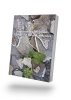 Cumhuriyet'in 100. Yılında Türkiye'nin Ekolojik Sorunları