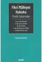 Fikri Mülkiyet Hukuku Pratik Çalışmaları Fikri Mülkiyet Hukuku Pratik Çalışmaları