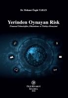 Yerinden Oynayan Risk — Finansal Teknolojiler, Düzenleme ve Türkiye Deneyimi)