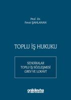 Toplu İş Hukuku Toplu İş Hukuku
