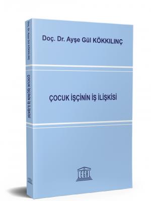 Çocuk İşçinin İş İlişkisi ( KÖKKILINÇ ) Ayşe Gül Kökkılınç