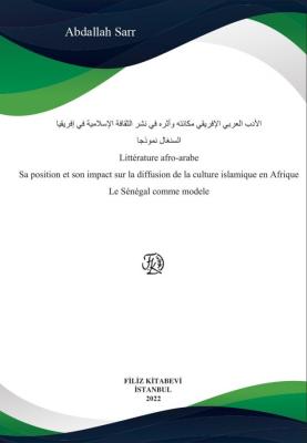Littérature afro-arabe Sa position et son impact sur la diffusion de l