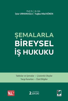 ŞEMALARLA BİREYSEL İŞ HUKUKU 2.BASKI